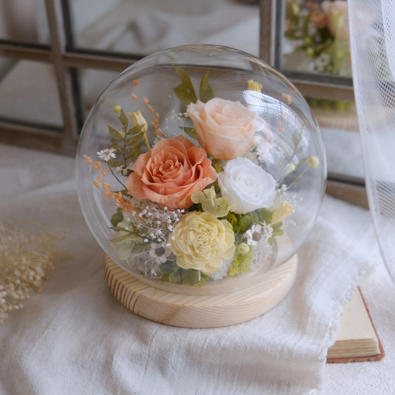 永生玫瑰/玻璃鐘罩/永生花/乾燥花/不凋花/橘黃色/情人節/結婚 - 植栽/盆栽 - 植物．花 橘色
