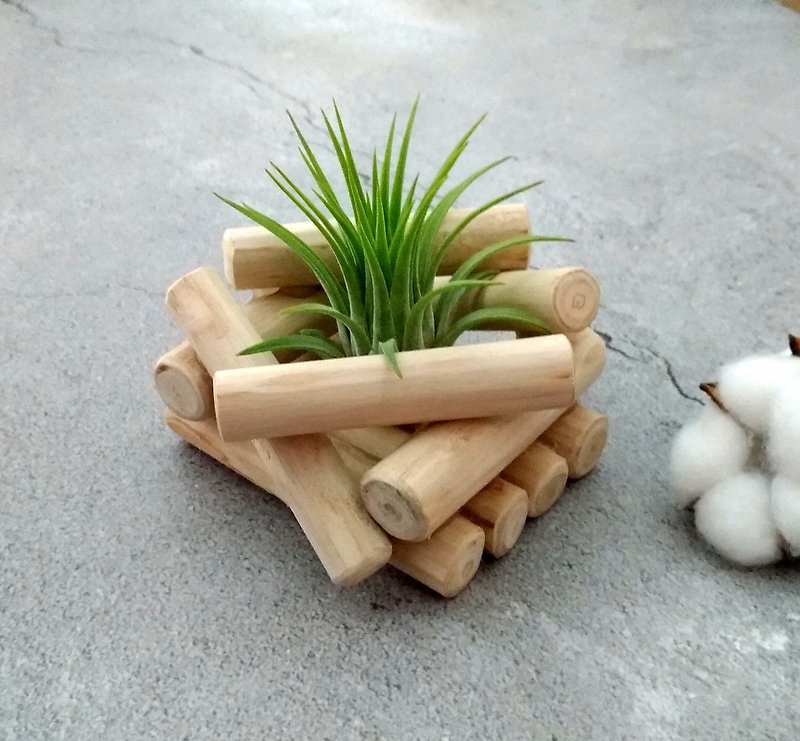 Campfire Xiaozhu Wooden Base Air Pineapple Candle Holder Business Card Holder/Ornament/Graduation Gift/Gift Planting - Plants - Plants & Flowers 