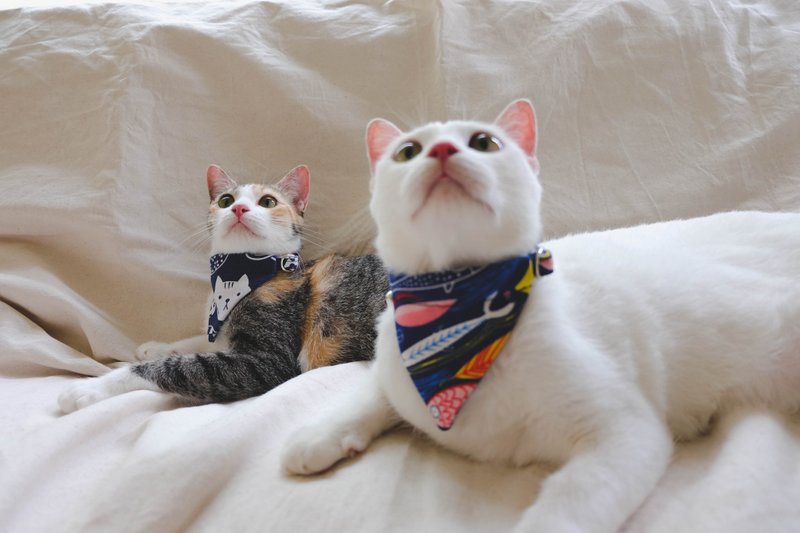 A-NI collar for cats and dogs triangular flag version - 項圈/牽繩 - 其他材質 藍色