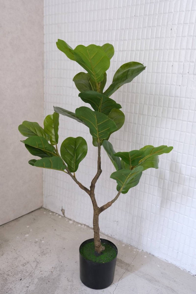 人造植栽/仿真琴葉榕/仿真植物/綠化/永不凋零 - 植栽/盆栽 - 塑膠 綠色