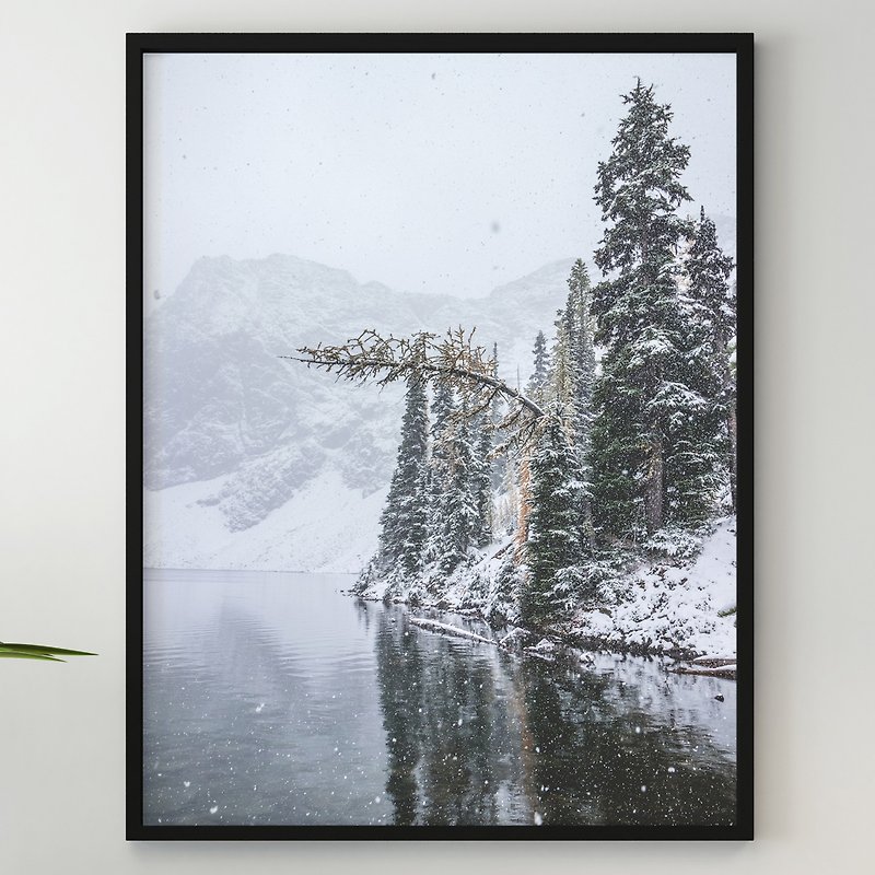 獨特的彎曲針葉樹在山湖雪冬雪林上 - 掛牆畫/海報 - 紙 