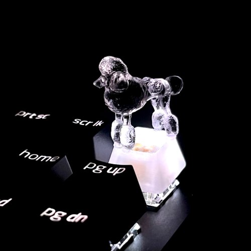 pridea 鍵帽, 狗, 貴賓犬, 透明, 清晰, 遊戲, 鍵盤, cherry MX