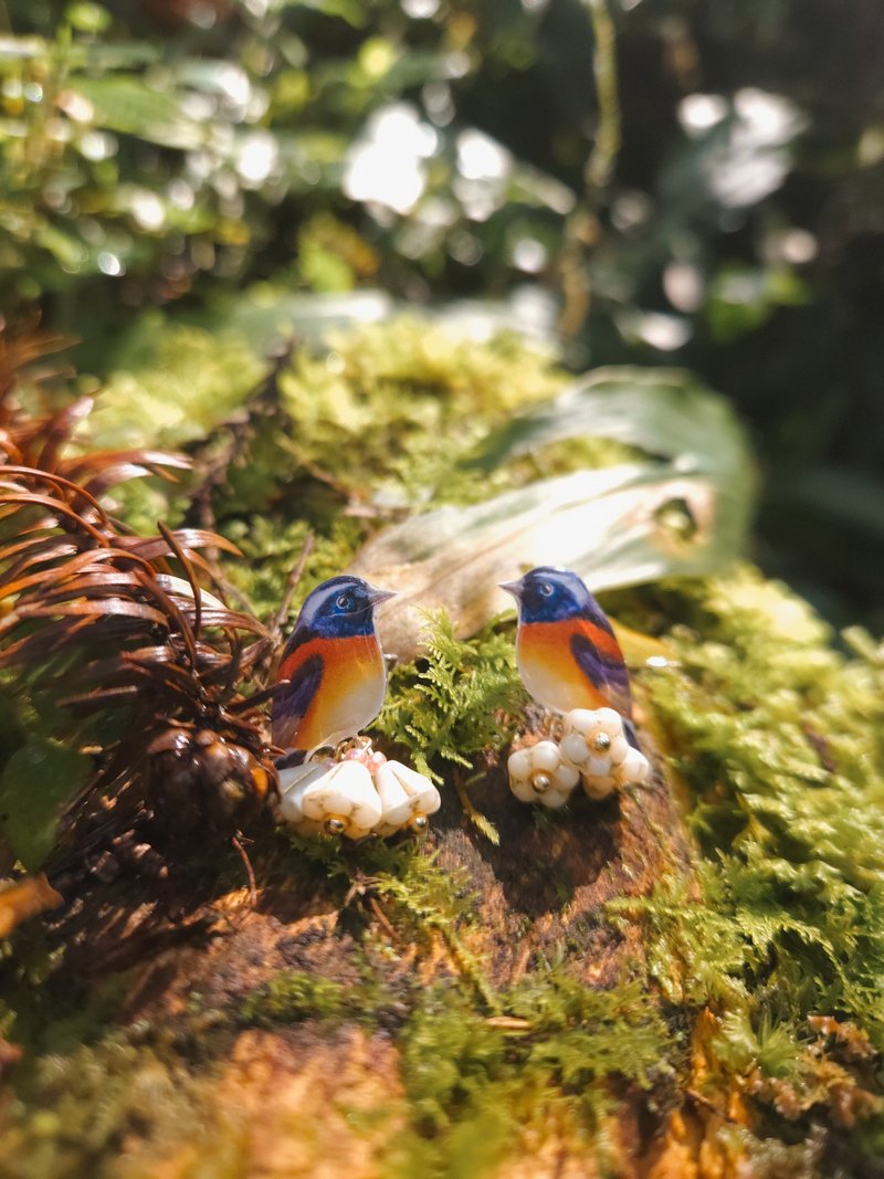 【どうぶつたち No.091】台湾固有種 クリセアカワビタキ . イヤリング ピアス - ピアス・イヤリング - レジン 