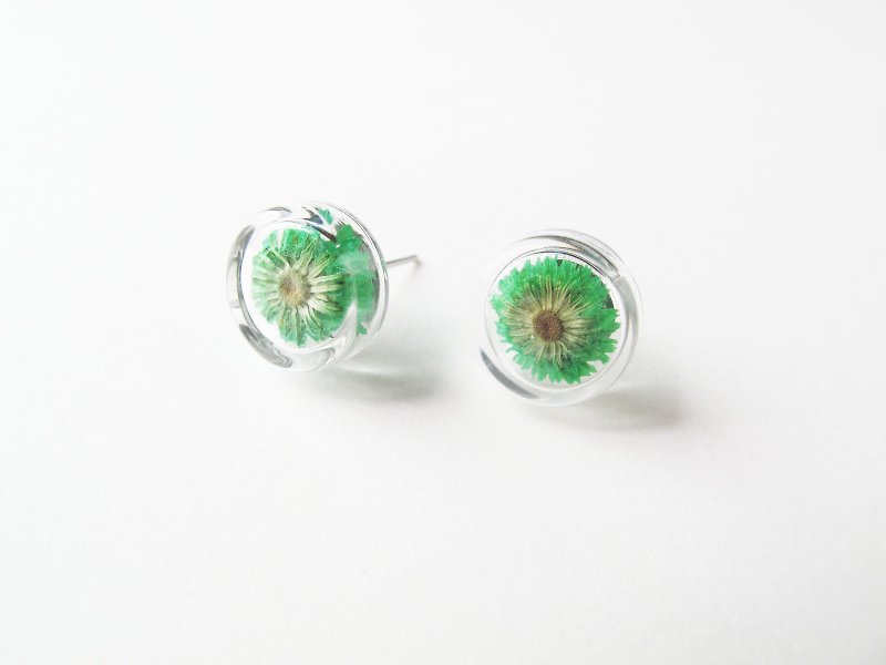 * Rosy Garden * Dried flowers green Anaphalis sinica round glass earring - Earrings & Clip-ons - Glass Green