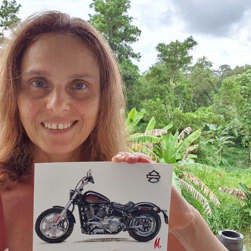 スポーツバイク絵画ハーレーダビッドソンオリジナルアート