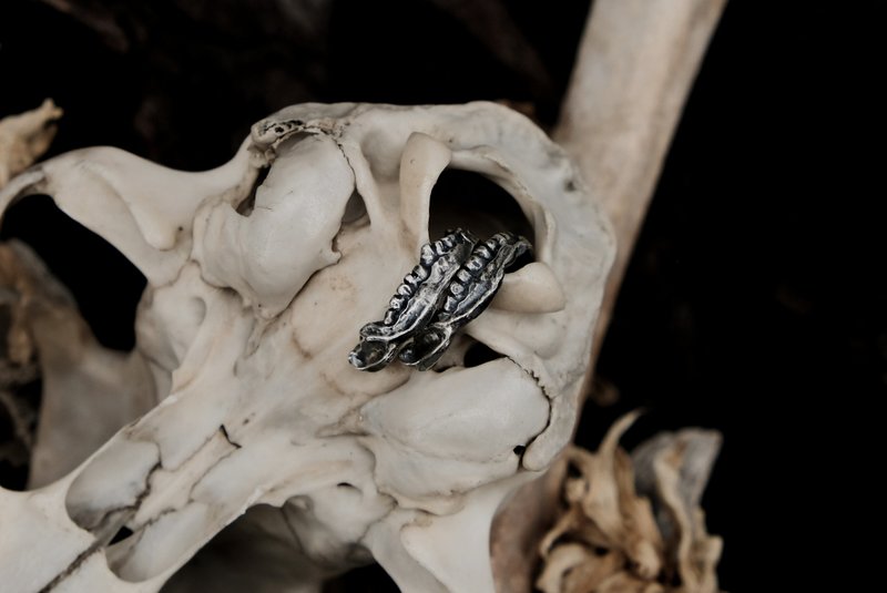 [Mountain Skeleton Period] Tranquility and Peace II—Big Mandible Ear Clamp - Earrings & Clip-ons - Sterling Silver Silver