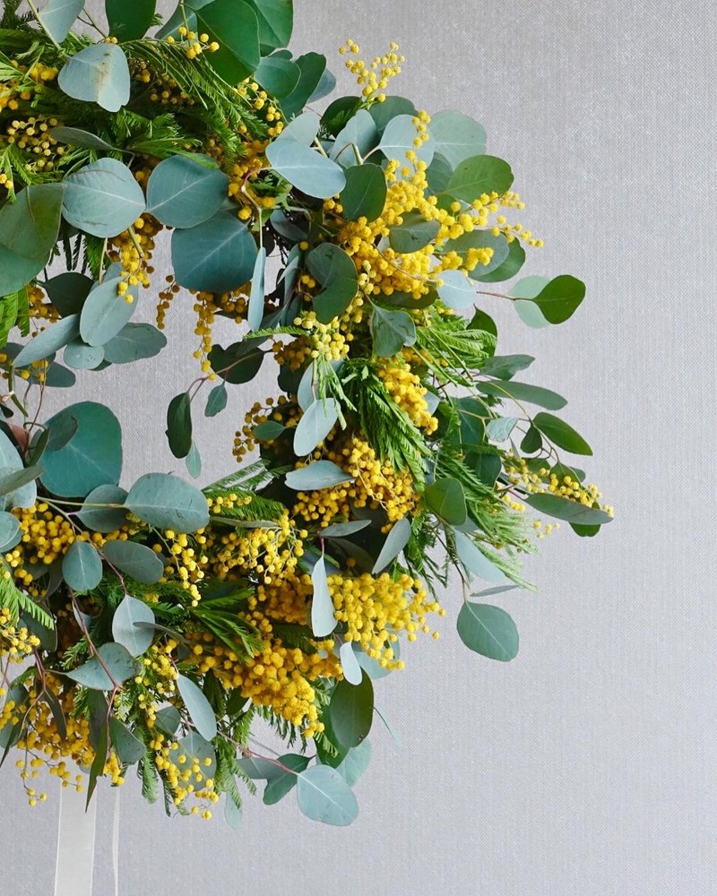 初春 金合歡花圈 花束 mimosa - 乾燥花/永生花 - 植物．花 黃色