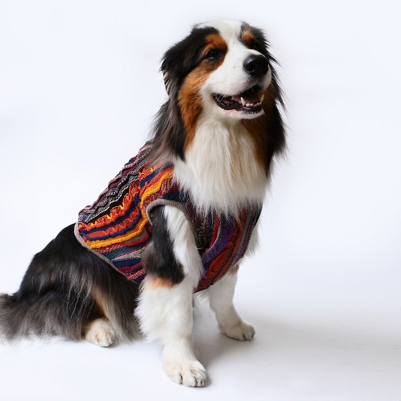 Chipasu Notorious Sweater 寵物苦瓜紋毛衣 - 寵物衣服 - 棉．麻 多色