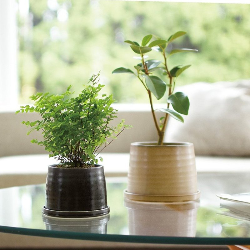 【2件75折】日本KINTO PLANT POT 192陶瓷花盆11cm / 12.5cm - 花瓶/花器 - 瓷 卡其色