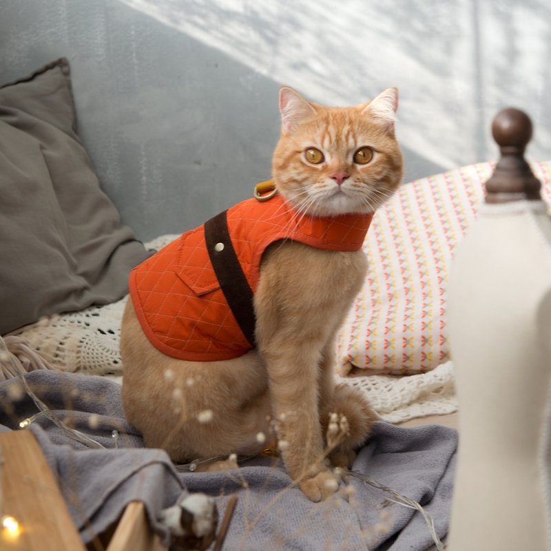 胸背衣 翻玩毛外套 Orange Blinks 橘色鋪棉長版S (XS/M/L完售) - 寵物衣服 - 棉．麻 
