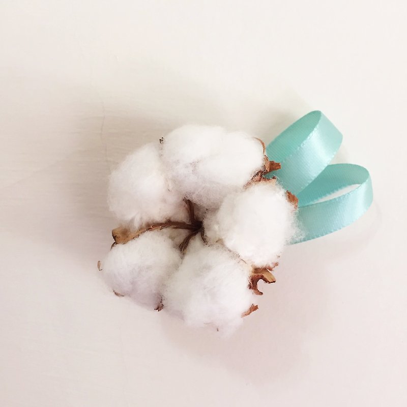 Cotton drying cotton ribbon wedding magnet groceries small objects - ของวางตกแต่ง - พืช/ดอกไม้ ขาว