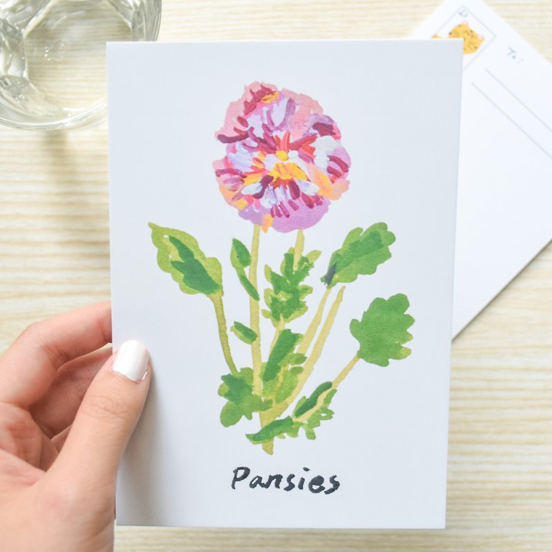 Nature Collection-Pansy postcard / buy 3 get 1 - Cards & Postcards - Paper Red