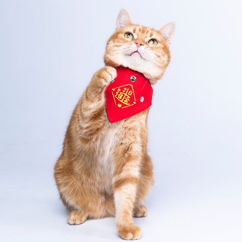ZAZAZOO 【日進斗金】寵物紅包口袋刺繡領巾