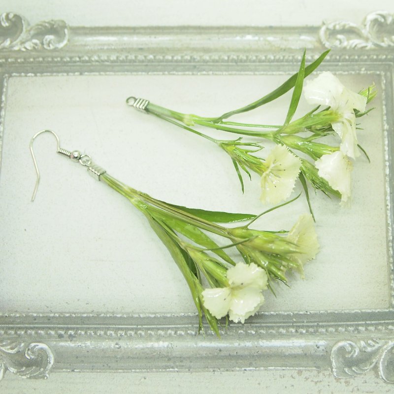 Dried flower delicate dianthus earrings - Earrings & Clip-ons - Resin White
