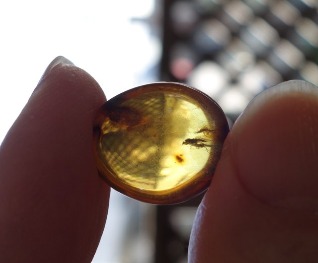 琥珀　ミャンマー産　ゴールドカラー 天然ビルマ琥珀 昆虫琥珀 1.56g ミャンマー産ゴールドゴールド