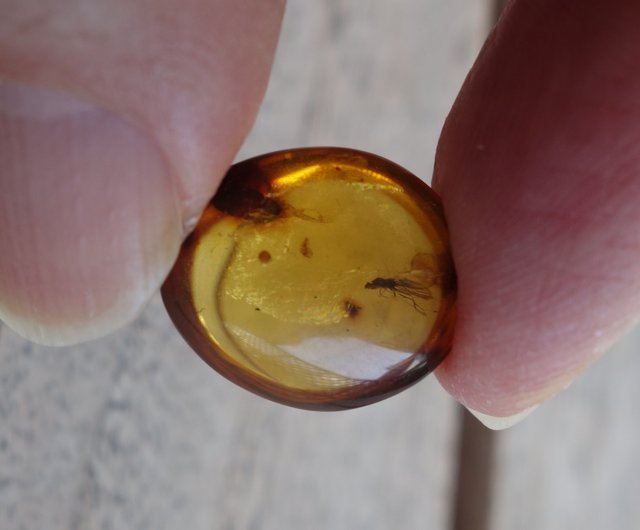 琥珀　ミャンマー産　ゴールドカラー 天然ビルマ琥珀 昆虫琥珀 1.56g ミャンマー産ゴールドゴールド
