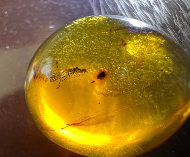 琥珀　ミャンマー産　ゴールドカラー 天然ビルマ琥珀 昆虫琥珀 1.56g ミャンマー産ゴールドゴールド