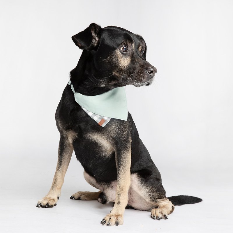Pawfect-Fit! Pet Bandana Double Sided Pet Scarf (L) - Clothing & Accessories - Cotton & Hemp Green