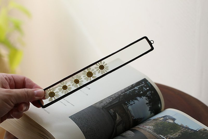 Plant illustration ∣ chamomile ∣ glass inlay ∣ flower and herb bookmark - ที่คั่นหนังสือ - พืช/ดอกไม้ ขาว