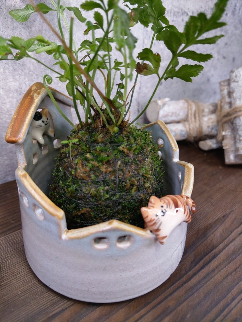 躲貓貓花器-沒孔洞 - 盆栽/植栽 - 陶 