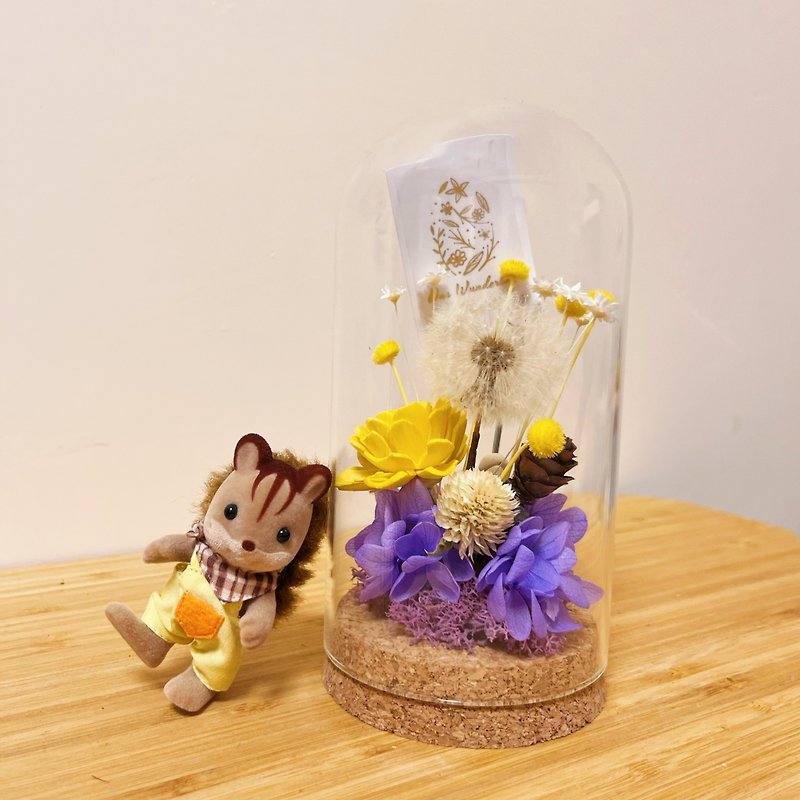 (M) Flower in a vase - immortal dandelion, yellow sora flower