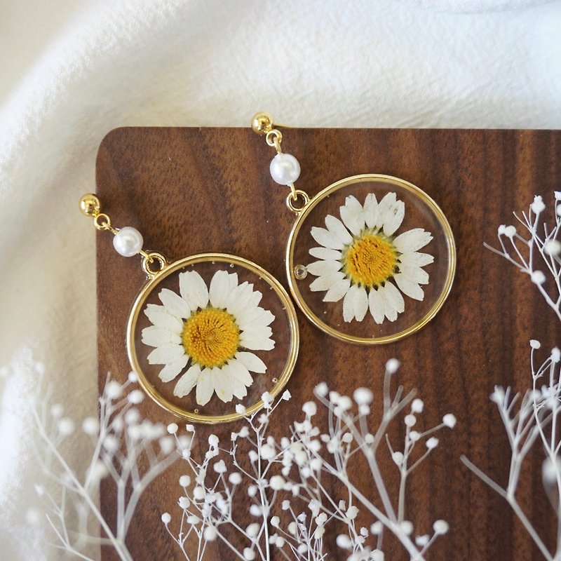Daisy earrings. Real flower earrings - ต่างหู - พืช/ดอกไม้ ขาว