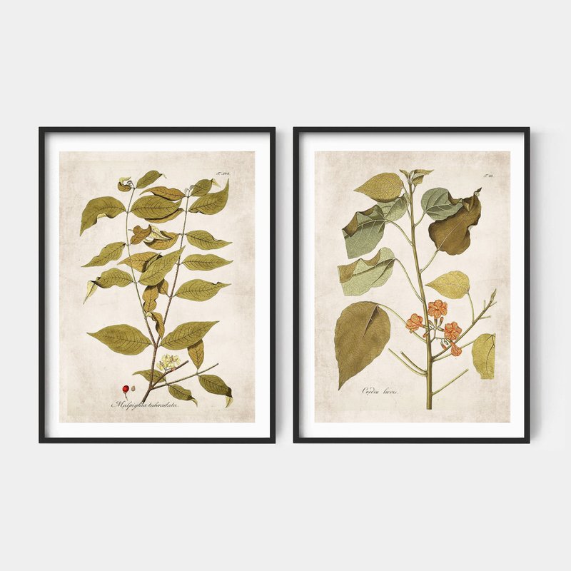 紙 植栽/盆栽 - Fall Art print #3 畫 佈置 秋天 擺飾 臥室 浴室 餐廳 咖啡廳