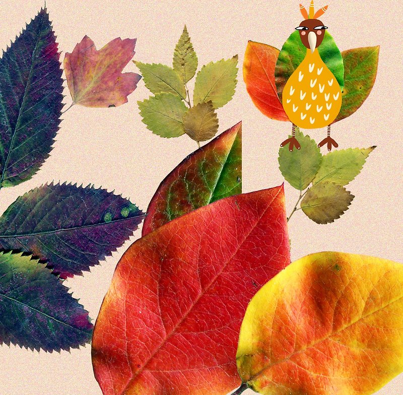 Fall clipart, Pressed leaves, Autumn graphic set with REAL LEAVES ,600 dpi - วาดภาพ/ศิลปะการเขียน - วัสดุอื่นๆ สีส้ม