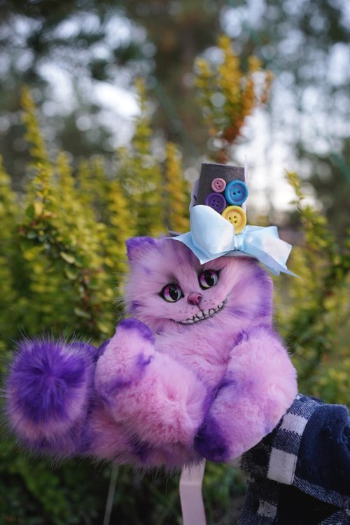 チェシャ猫 お久しぶりの チェシャ猫しずくちゃん🐱 スーパー猫の日に合わせ