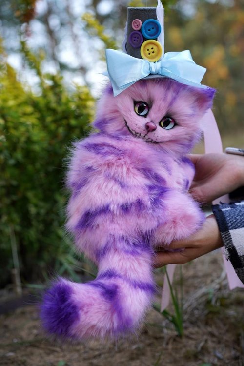 チェシャ猫 お久しぶりの チェシャ猫しずくちゃん🐱 スーパー猫の日に合わせ