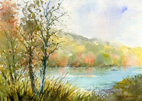 547＊雨の菖蒲園 水彩画 原画 透明水彩画