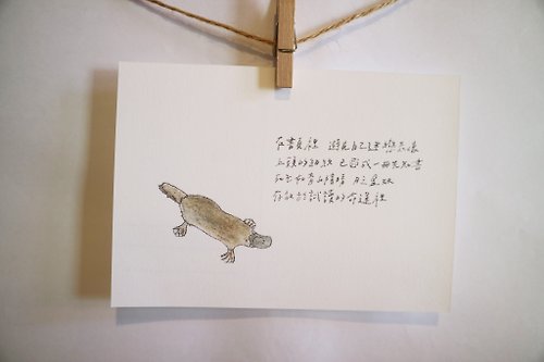 一把蔥 雜燴工作室 動物與牠的詩58/ 鴨嘴獸/ 手繪 /卡片 明信片