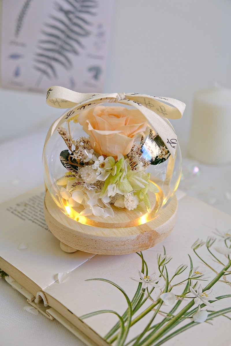 (with lamp) Butter peach-immortal flower glass flower ball