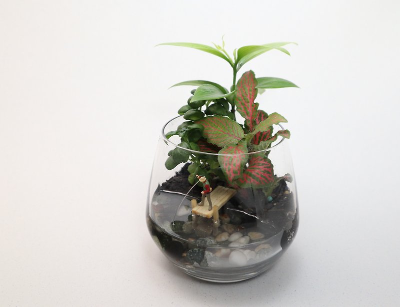 [Micro Landscape] Slow Fishing - Potted Plants / Moss / Micro Landscape / Fishing / Birthday Gift / Customized - Plants - Glass Green