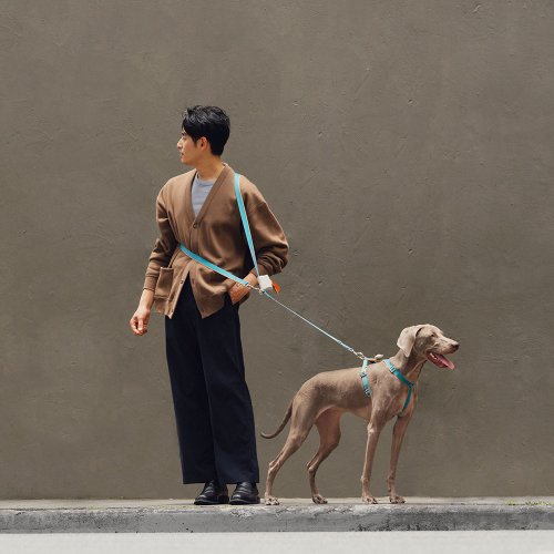 tails&me 尾巴與我 【tails&me 尾巴與我】新經典系列 犬貓共用多功能牽繩(共6色)