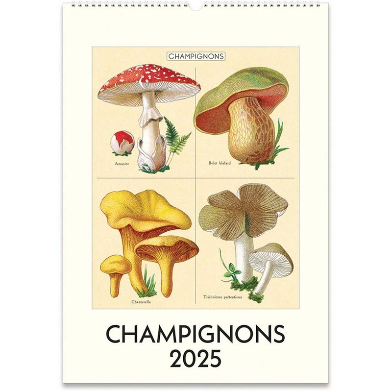 Cavallini & Co. 2025 Annual Calendar/Wall Calendar_Mushroom - ปฏิทิน - กระดาษ หลากหลายสี