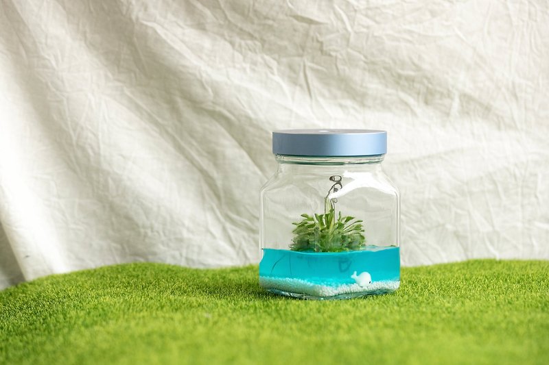 小室瓶栽 食蟲植物系列 毛氈苔 工業風2號瓶 蔚藍海洋