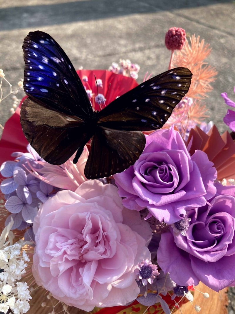 Customized preserved flowers/butterfly specimens/custom order place - Dried Flowers & Bouquets - Plants & Flowers Purple