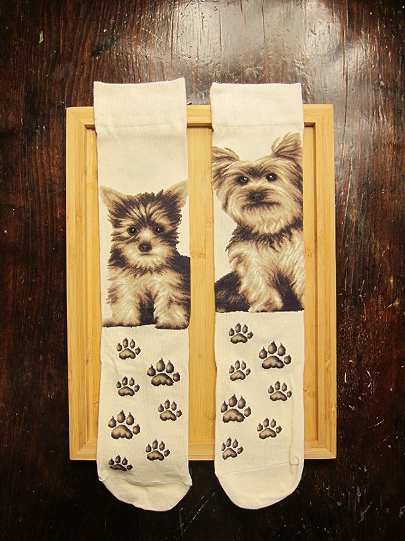 JHJ Design Canadian brand high-color knitted cotton socks dog series Yorkshire (female) puppies love dogs cute