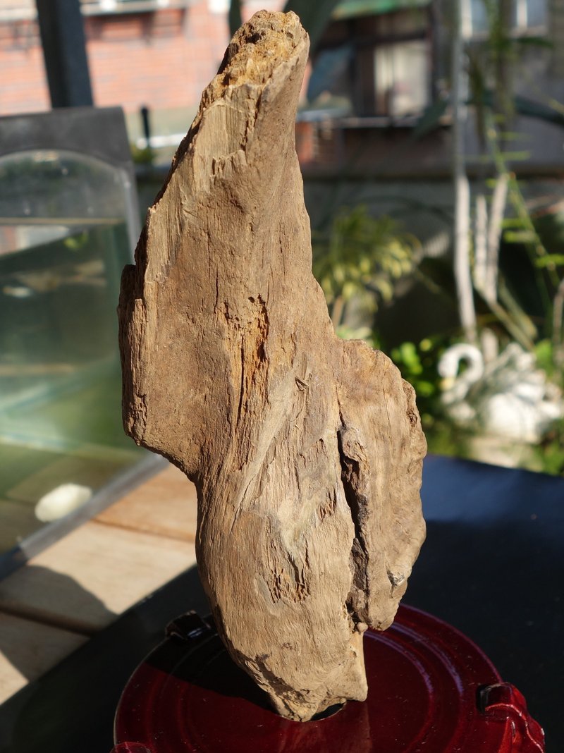 Kalimantan wild agarwood old material 311 grams agarwood ornaments [submerged water level] Sin Chew water agarwood - ของวางตกแต่ง - ไม้ สีกากี