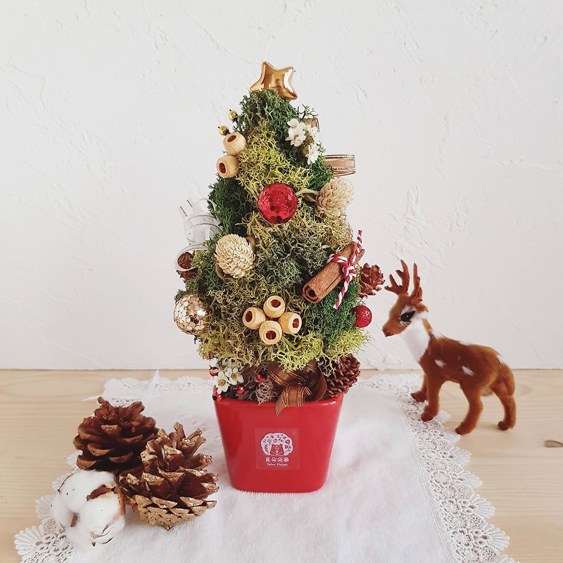 乾燥聖誕樹 - 裝飾/擺設  - 植物．花 紅色