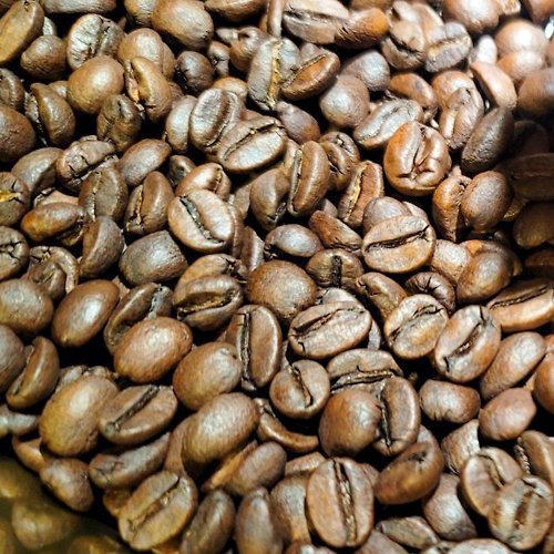 Funbodhi 方菩提 滿天星 瓜地馬拉 翹鬍子莊園 蜜處理 - 單品咖啡豆460g