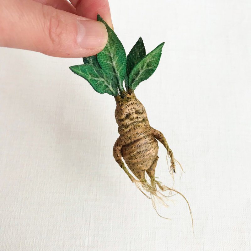 Mandrake Brooch - เข็มกลัด - กระดาษ 