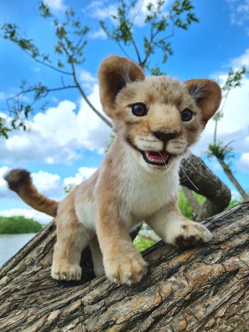 リアルライオンぬいぐるみ 動物 生物 ぬいぐるみ リアルアニマルファミリー ライオン 子