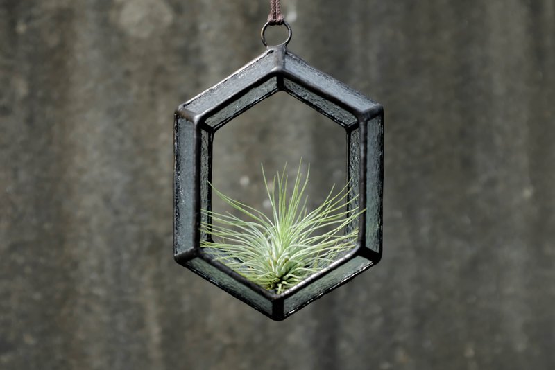 Frame View | Long Hexagonal Fragrant Pear Pendant-Black - Items for Display - Glass Transparent