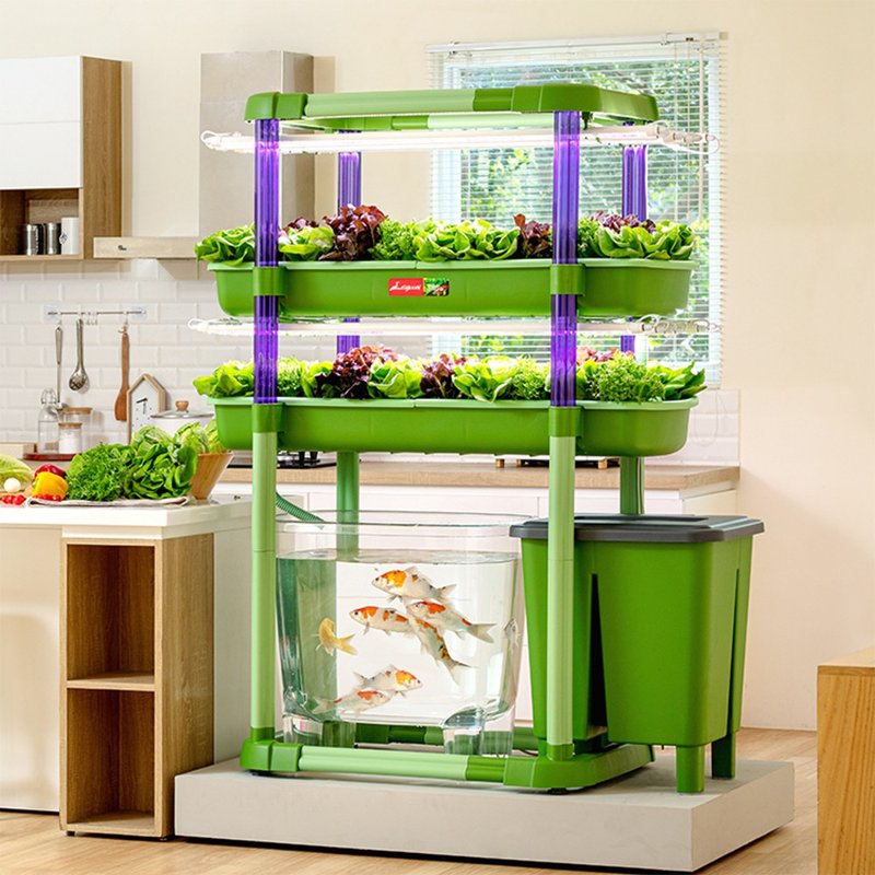 Aquaponics System V3.0 (2 layers) - ตกแต่งต้นไม้ - พลาสติก สีเขียว