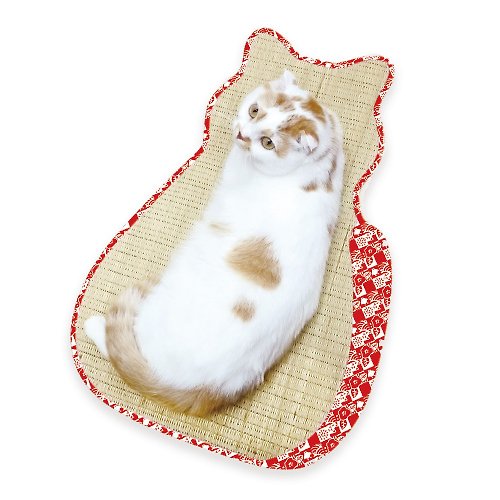 DoggyMan 日本寵物國民品牌 【日本CattyMan】天然草編和風薄蓆 榻榻米