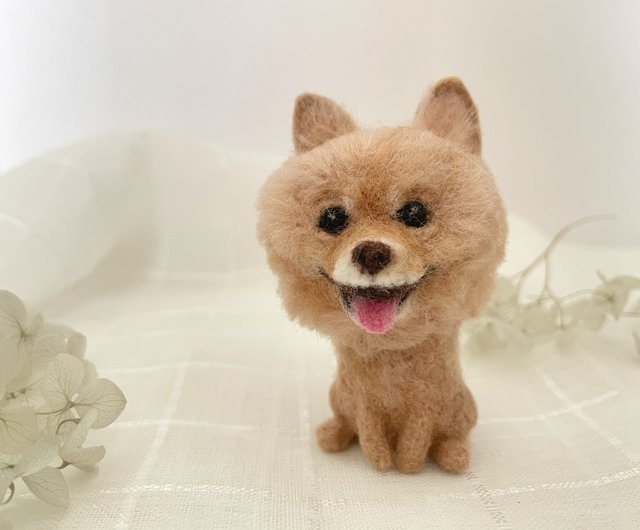 doll pomeranian