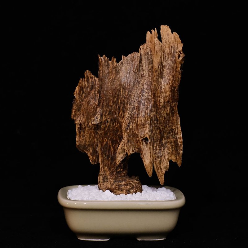 【沉香擺飾】惠安蟲鏤沉香 - 擺飾/家飾品 - 木頭 