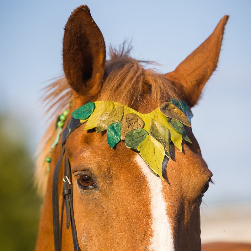 Green browband for horses Pony draft brow band Handmade horse tack costume. - 其他 - 真皮 綠色